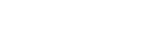 Brikin