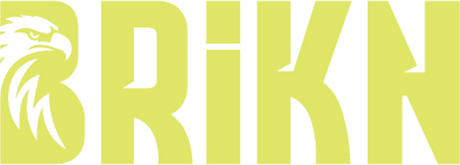 Brikn